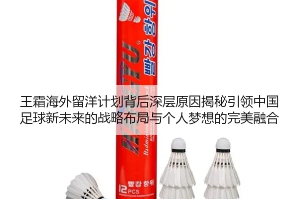 王霜海外留洋计划背后深层原因揭秘引领中国足球新未来的战略布局与个人梦想的完美融合
